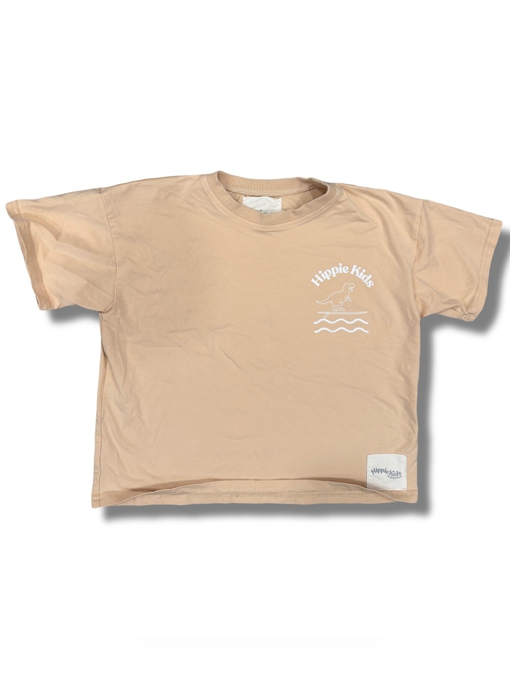 Hippie Kids 5T Boys Dino Surf Graphic Tee